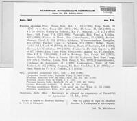 Puccinia graminis image